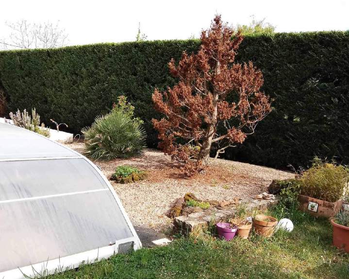 Entretien de jardin Clermont-Ferrand