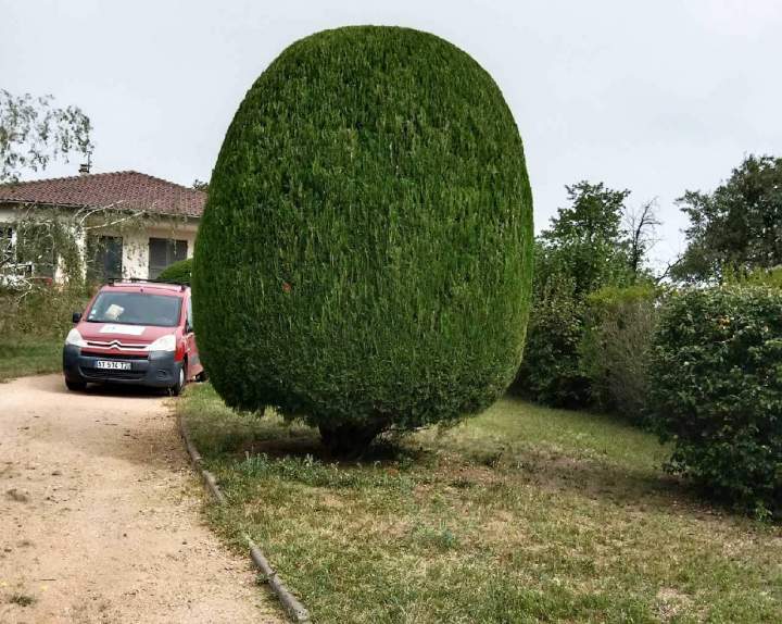 Aménagement de jardin Clermont-Ferrand
