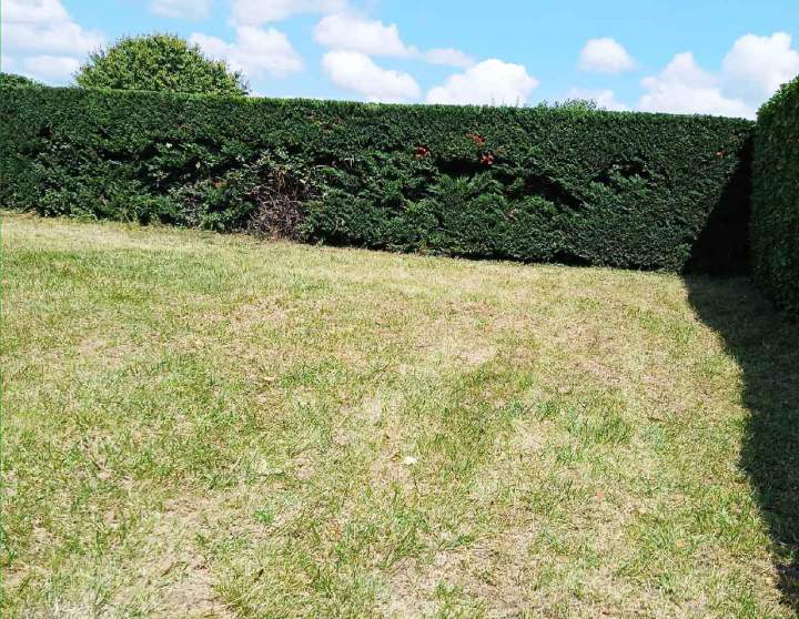 Aménagement de jardin Clermont-Ferrand